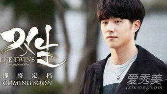 双生演员表,命运交织的演员阵容揭秘